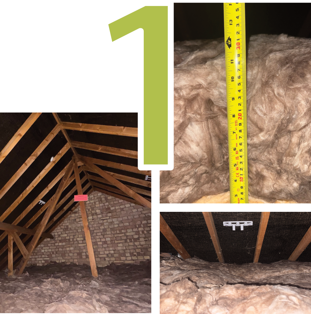 Framlingham Landlord #1